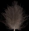 Darkgrey kakhi Swiss CDC feather